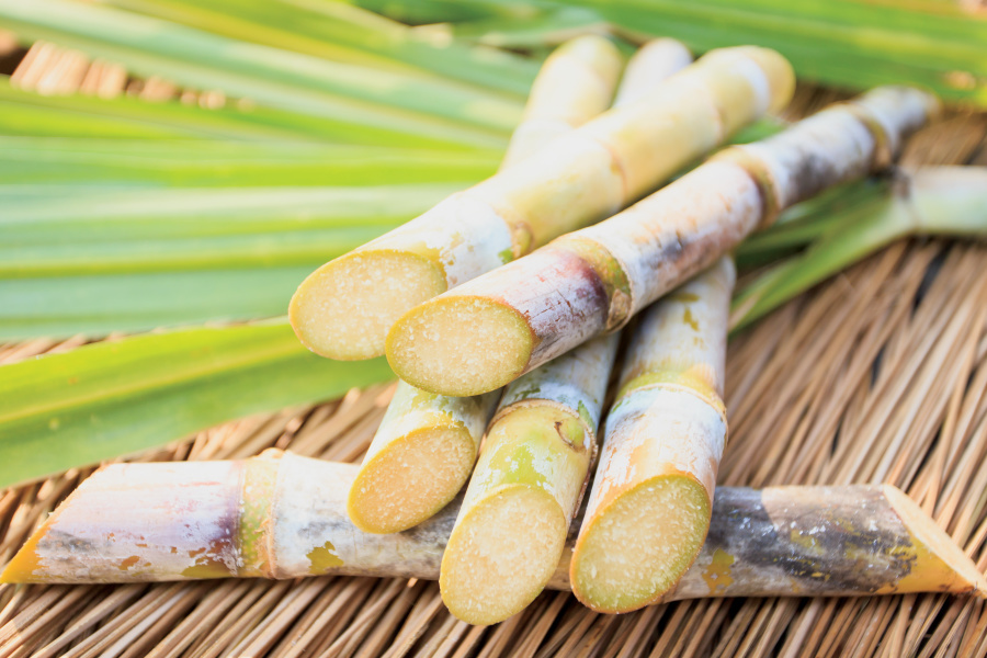 Sugar Cane Analytics