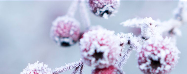 When does winter start?